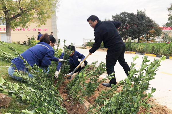 1604039101642601.jpg 圖片 2.jpg