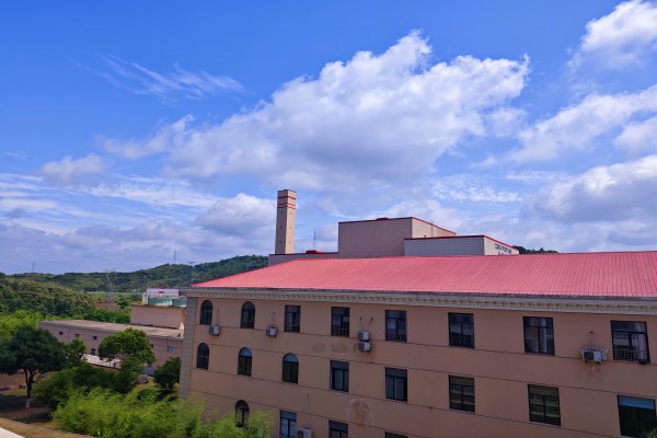 1717473377934678.jpg 漫畫里的金寨海創(chuàng)(1).jpg