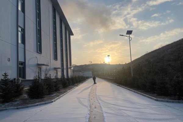 1736988313569076.jpg 冰枝暖光.jpg